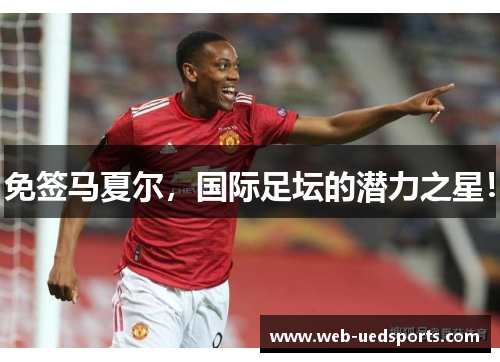免签马夏尔,国际足坛的潜力之星! 免签马夏尔,国际足坛的潜力之星!