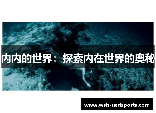 内内的世界:探索内在世界的奥秘 内内的世界:探索内在世界的奥秘